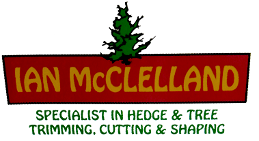 McClelland Tree Services Ballymoney